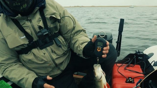 КРУПНЫЙ ОКУНЬ на ВСЕ БАБКИ!!! Ладожское озеро. Рыбалка в Ленинградской области. смотреть онлайн