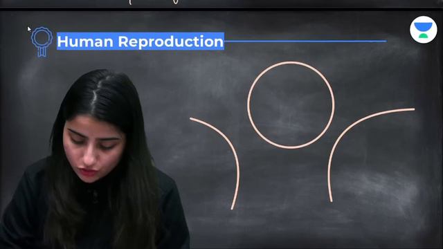 Human Reproduction | Male Reproductive System | L1 | NEET 2022/23 | Seep Pahuja