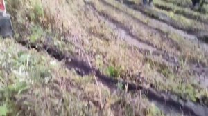 Таёжные дали. Часть 1. УАЗ 3303 ТД 27 Т.