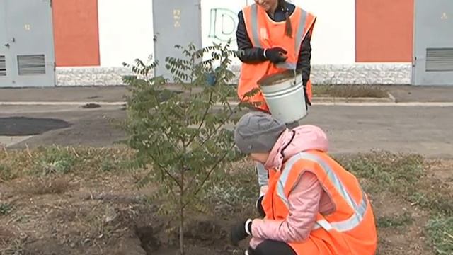 Экологический субботник в Белгороде смотреть онлайн