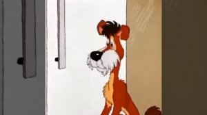 Бобик в гостях у Барбоса :-)