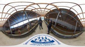 Рассказываем о профессиях в сфере животноводства. (Экскурсия 360)