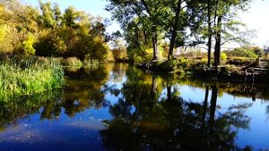 Город Курск. Стрелецкая слобода. Река Тускарь.
