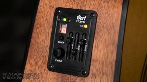 Гитарный комплект CORT AD810E (гитара+ чехол+ шнур+ медиаторы)