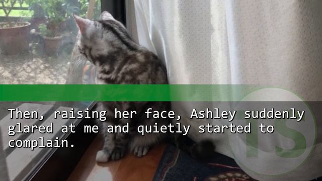 My ex girlfriend said, "I'll be your wife." We had a fallout though. 20 years later, we met again. смотреть онлайн