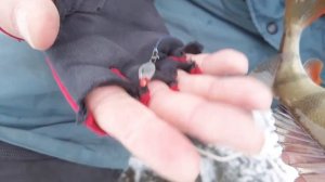 Перволедье 2022/2023 Ловля окуня на блесну