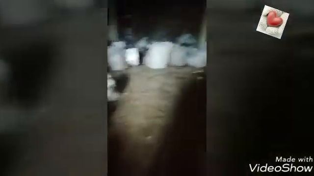 Экскурсия в пункт приёма вторсырья смотреть онлайн