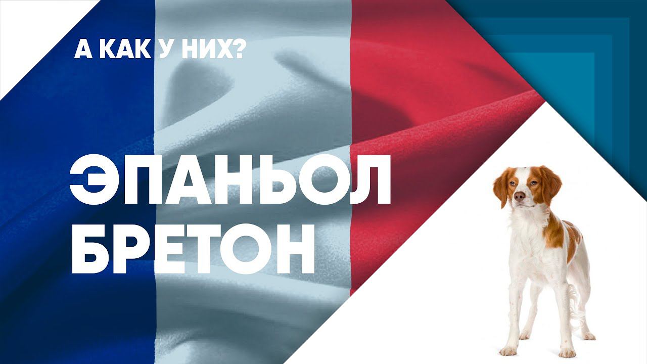 Эпаньол Бретон - обзорный фильм. смотреть онлайн