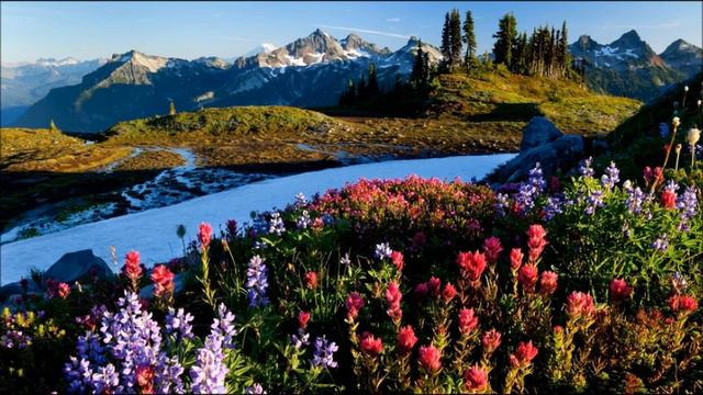 ВЕЧНЫЙ БОГ,ОН ЛЮБИТ ТЕБЯ смотреть онлайн