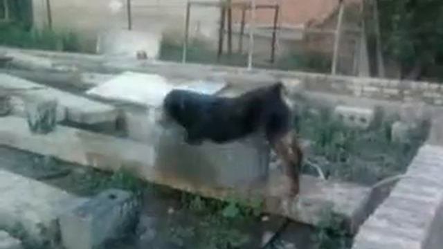 Видео0022