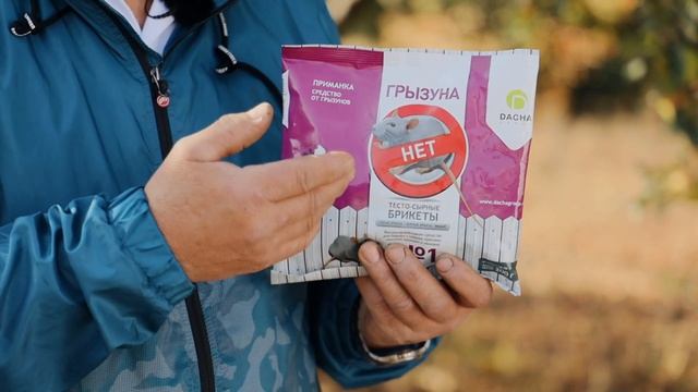 Как правильно прикопать саженцы, чтобы сохранить их до весны смотреть онлайн