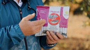 Как правильно прикопать саженцы, чтобы сохранить их до весны