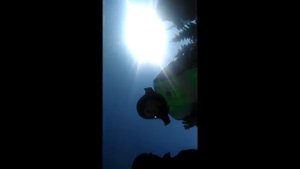 Омская обл пгт Крутинка. ДПС РАЗВОД НА ЛИШЕНИЕ!