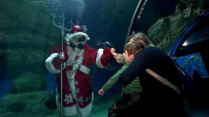 "Елка желаний" помогает исполнить самые сокровенные желания детей с непростой судьбой