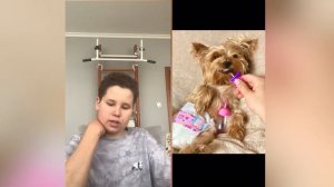 смотрим фотки МИККИ ПИККИ | Злого Пса