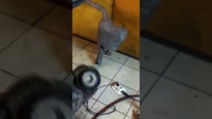 Задняя подвеска Ауди А6