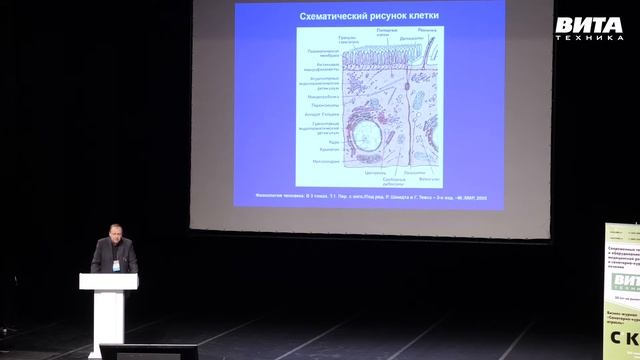 «Физическое обоснование метода внутритканевой электростимуляции»
