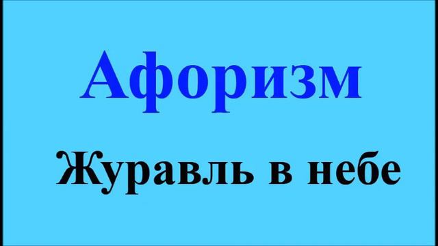 Журавль в небе - афоризмы Максима Костенко, афоризм 15 смотреть онлайн