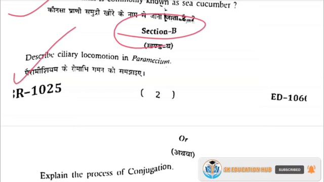 Bsc Bed 1st Year, Zoology 1st Paper, Previous Year Question Paper 2022, Non Chordata, MGSU, SK EDUC