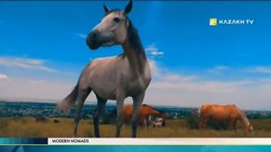 Казахская лошадь. Прошлое и настоящее