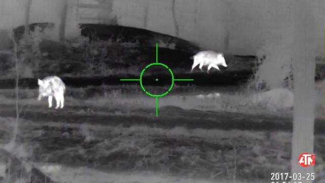 ATNI MARS-HD 640-2.5-25x 50mm Thermal Rifle Scope смотреть онлайн