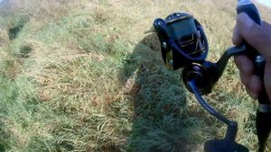 Дайва калдия 3000 лт 2021года.Брать или не брать?