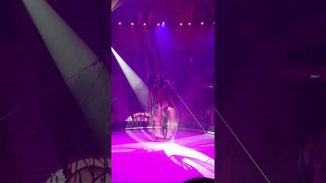 Акробат в колесе, часть 3 смотреть онлайн