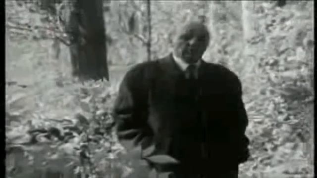 SUPUTNIK/DOBRIŠA CESARIĆ - NEMANJA NEŠIĆ смотреть онлайн