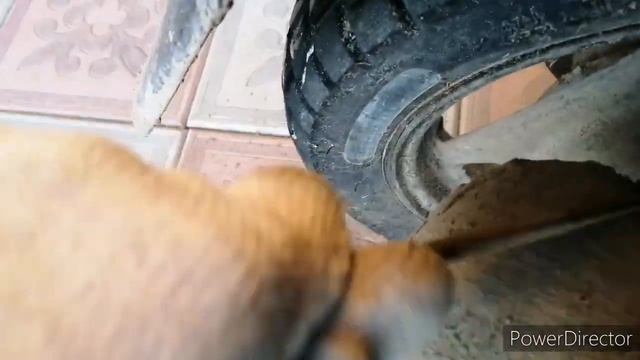 Чистим глушитель смотреть онлайн