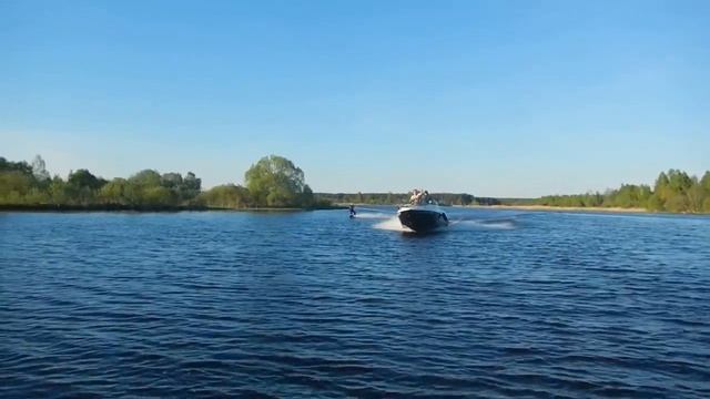 Phoenix Феникс 560 Mercury 115 SeaPro  СПЭВ