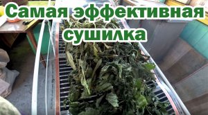 Отличная сушилка для зелени
