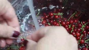 Компот из красной смородины и малины на зиму. Простой рецепт компота на зиму без стерилизации