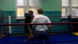 Пидько отправил в легкий нокаут соперника-Boxing Sparring 2015