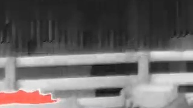 TrackIR Guide 50mm First Play - Day time смотреть онлайн