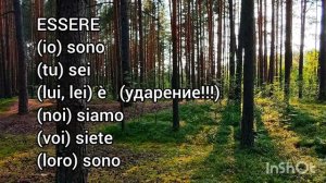 Урок 10 Одно прошедшее на двоих Stare, essere Основы итальянского для начинающих