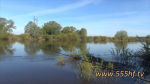 Полудонка ранней весной