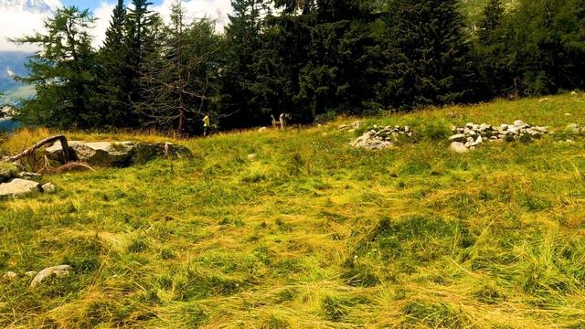 32 Variations in C minor - BEETHOVEN #rushepiano #beethoven #classical смотреть онлайн