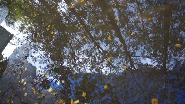 18.09.2016. Киров,осень,сентябрь,лужи,отражение...