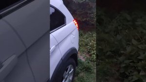 Chevrolet Captiva LS 2.0vcdi задние фонари с aliexpress