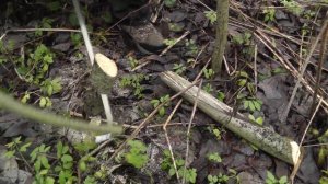 Лето, про пилы, топоры, колем дрова без топора, волчий зуб