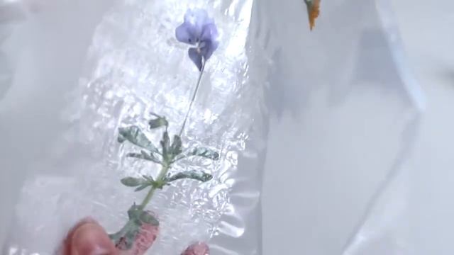 ДВА СПОСОБА ЛАМИНИРОВАНИЯ || Как сохранить засушенные растения | D | смотреть онлайн