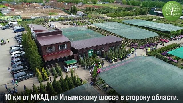 Любимые растения с 90% скидкой