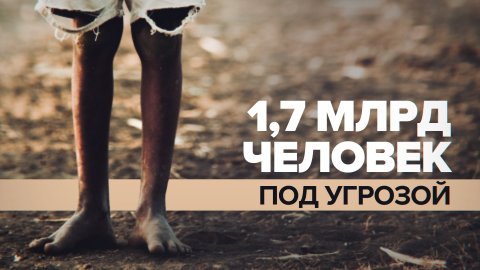 Кризис для 1,7 млрд человек: как в ООН предрекают катастрофу из-за дефицита зерновых на Украине
