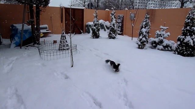 Russkiy Toy, Olga der Blitz смотреть онлайн