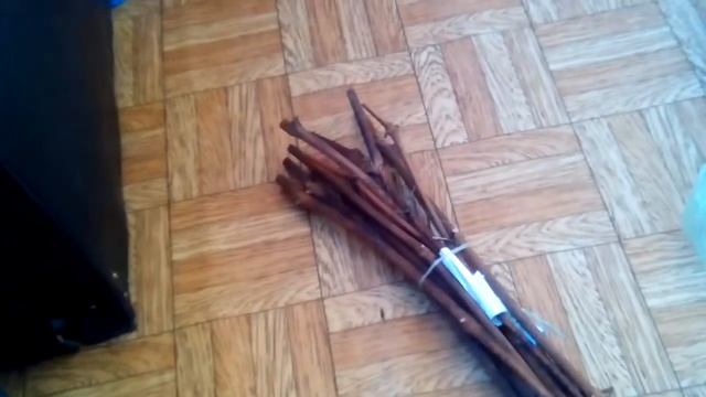 Хранение черенков винограда дома.в холодильнике. ПРОВЕРЕНО И НАДЁЖНО!