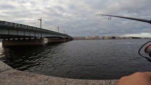 Ловля судака на реке Нева .ОСЕННИЙ ЖОР