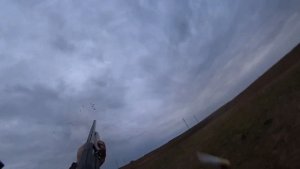 ОХОТА НА УТКУ С ПОДХОДА С СОБАКОЙ, РУССКИЙ СПАНИЕЛЬ, РУЖЬЕ МР 155,