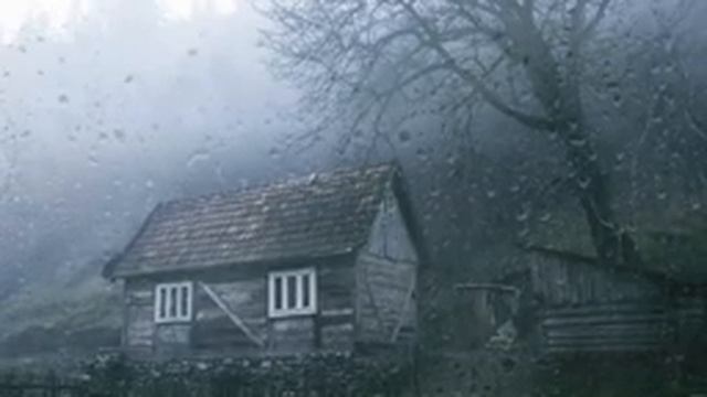 99% засыпают мгновенно - шум дождя на крыше в тропическом лесу   звук дождя для сна смотреть онлайн