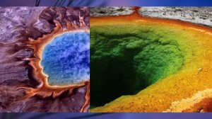 "Подцарство архебактерии", Биология 7 класс, Сивоглазов