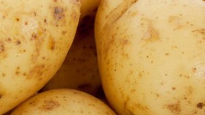 Интересные факты о крахмале.